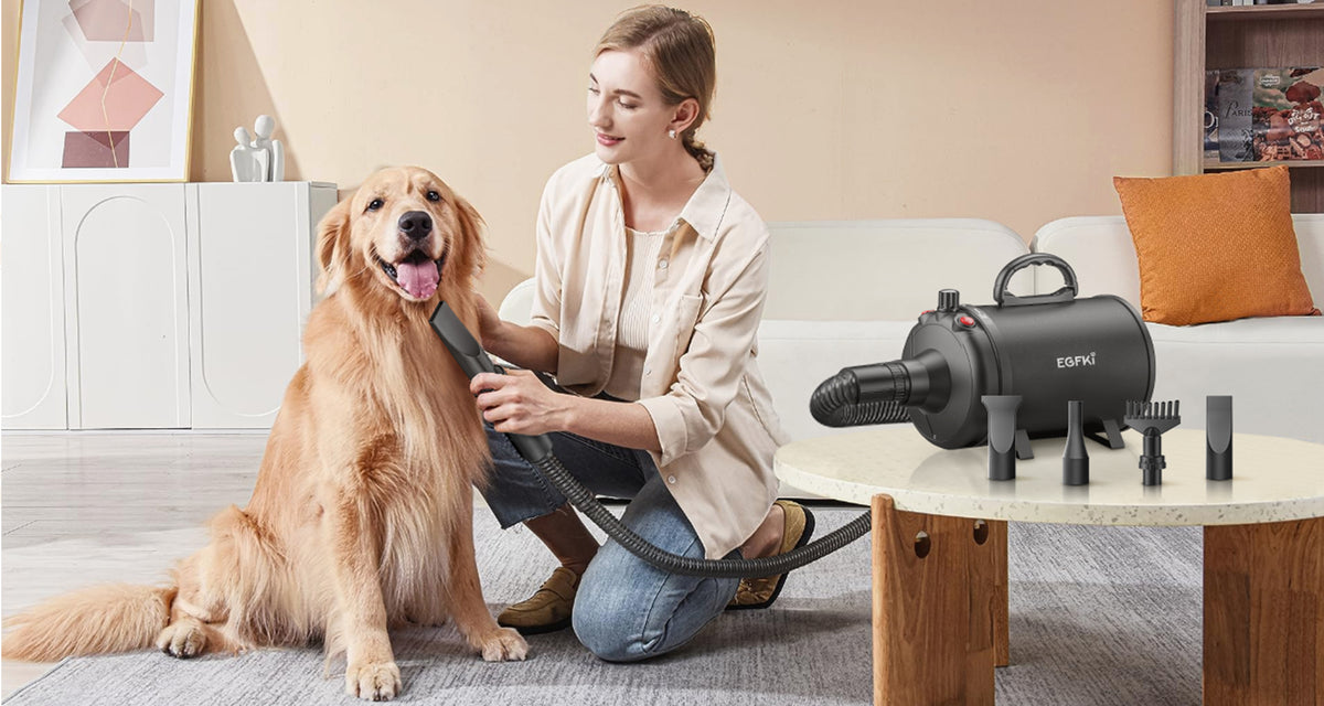 EGFKI 5.2HP Professional Dog Dryer